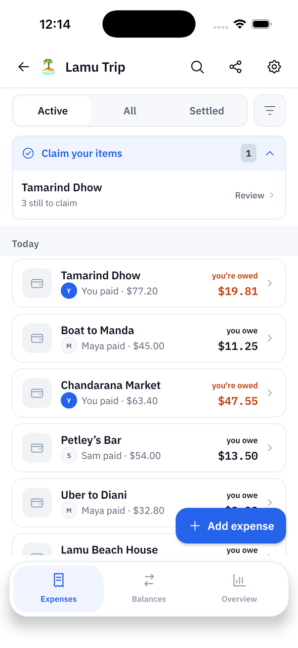 Evenly mobile app showing shared trip expenses